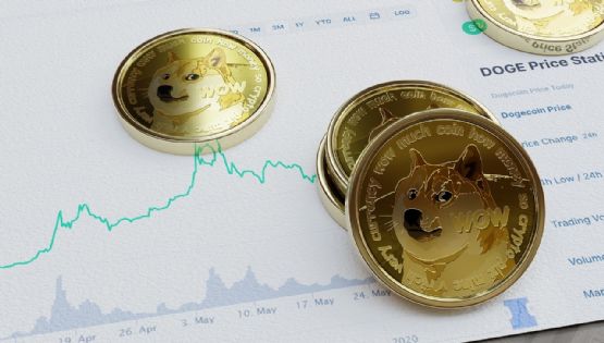 Dogecoin: a história da criptomoeda que disparou graças a Musk e Trump