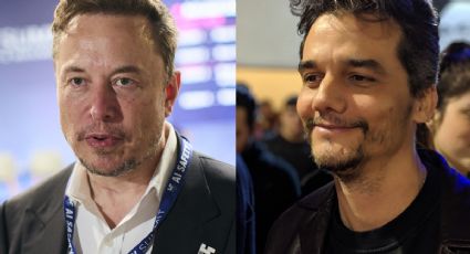 Elon Musk usa imagem de Wagner Moura, de esquerda, para paparicar Trump