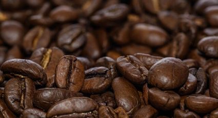 Governo divulga lista de marcas de café impróprias para o consumo humano