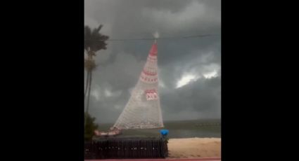 VÍDEO: árvore de Natal gigante despenca durante temporal e mata trabalhador