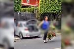 Foto ilustrativa de la nota titulada: VÍDEO: Mulher leva coroa de flores para Lula e é presa por racismo contra PF