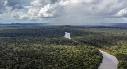 80% do agronegócio dependem de chuvas geradas em terras indígenas da Amazônia