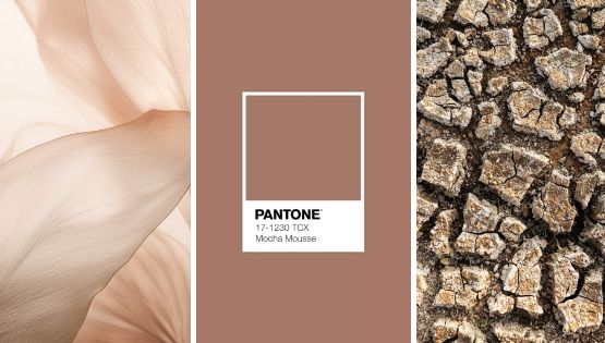 Cor do Ano da Pantone: pegadinha capitalista elege marrom para 2025