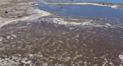 VÍDEO - Homens brigam por causa de Balneário Camboriú: "Analfabetos"