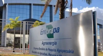 Embrapa: concurso oferece mais de mil vagas e salários iniciais de até R$ 12.814; confira