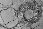 Cientistas descobrem "dragão" oceânico de 240 milhões de anos na China