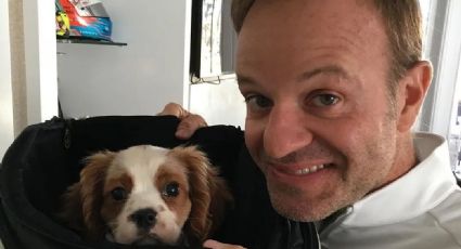 VÍDEO: Cão de Rubens Barrichello morre após comer 11 bitucas de cigarro; entenda