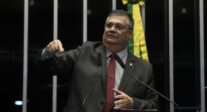 VÍDEO: Dino assume mandato no Senado e já dá aula para bolsonarista