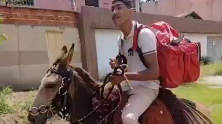 Entregador de aplicativo usa burro após ter moto apreendida; saiba como ajudar