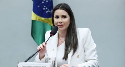 CCJ aprova projeto que amplia desmatamento em todos os biomas brasileiros