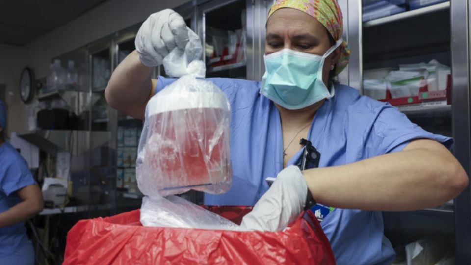 Imagens do transplante divulgadas pelo hospital