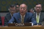 China e Rússia vetam proposta de "cessar-fogo" dos EUA para Israel e Gaza