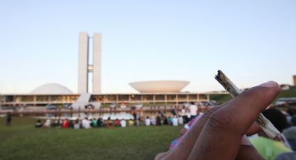 STF vai legalizar a maconha? Entenda o que está em julgamento