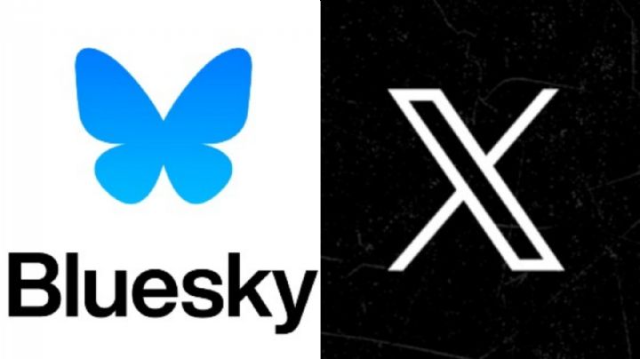 Bluesky: Rede social desafia a hegemonia do X de Elon Musk; conheça