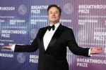 Elon Musk: bilionário golpista quer dar as cartas no Brasil