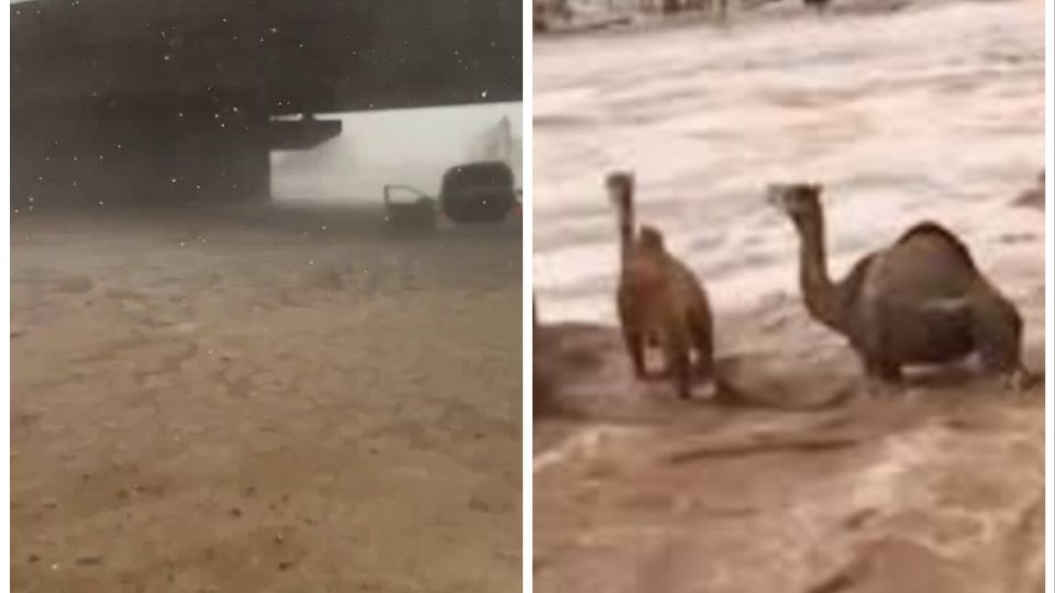 Chuvas torrenciais atingiram a Arábia Saudita