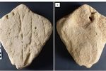Cientistas descobrem escultura de animal mais antiga da história