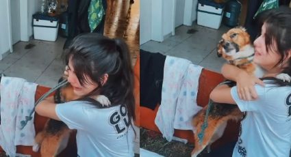 "Me perdoa?" - Mulher se comove em reencontro com cão perdido durante as enchentes no RS