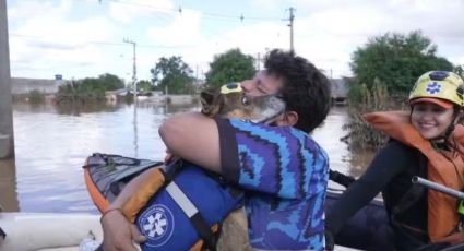 Vídeo emocionante: Durante buscas, voluntário encontra o próprio cachorro