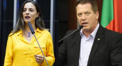 Deputada detona bolsonarista que defendeu corte de árvores para evitar deslizamentos: "Criminoso e estúpido"