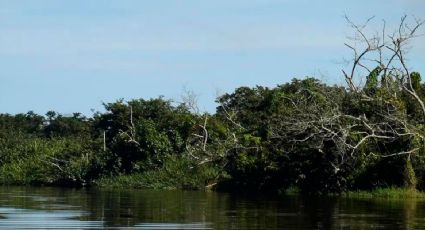 Não escute Bolsonaro, ouça a ciência: preservar o meio ambiente pode adiar o fim do mundo