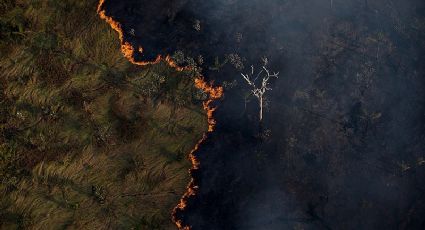 Emergência climática: a conta impagável do agronegócio predatório