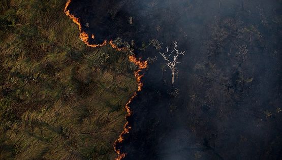 Combate ao fogo: governo mira punição a reincidentes e incentivo a brigadas regionais