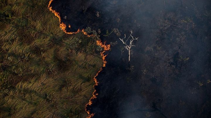 Combate ao fogo: governo mira punição a reincidentes e incentivo a brigadas regionais