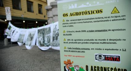 Idec – Agrotóxicos: Glifosato, ligado ao câncer, é encontrado em biscoito maisena, presunto e bolo