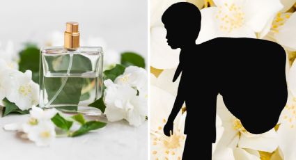 Perfumes de luxo com notas de trabalho infantil