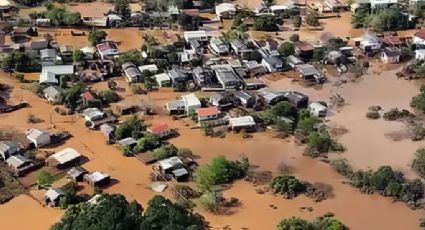 Pesquisa: 97% dos brasileiros sentem efeitos da crise climática no dia a dia