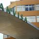 Inseto e pelo de rato: a lista com níveis de contaminantes tolerados pela Anvisa na sua comida