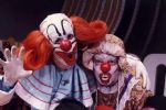 Bozo morre em decorrência de infarto em Santa Catarina