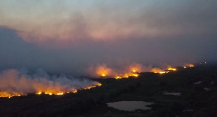 Pantanal: 95% do fogo começou em áreas privadas, mostram dados do Inpe e UFRJ