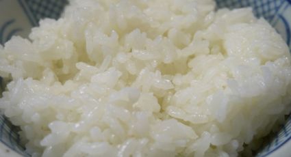 Nem de plástico, nem com agrotóxicos proibidos: fake news sobre arroz importado continuam circulando