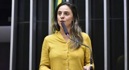 Melchionna celebra condenação de bolsonarista por machismo: “Decisão inédita”