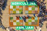 Reconquistar o Pronaf para produção de alimentos de verdade - Por Padre João