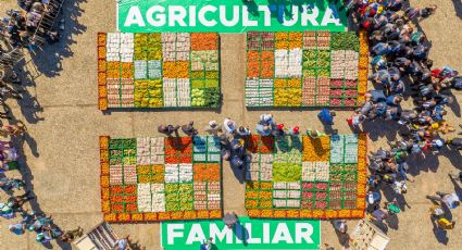 Reconquistar o Pronaf para produção de alimentos de verdade - Por Padre João