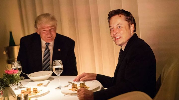 A escolha de Donald Trump que é um verdadeiro presente para Elon Musk