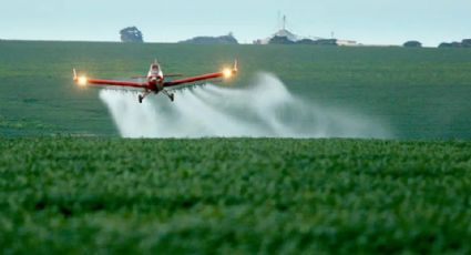 Quais os riscos do Brasil ter mantido agrotóxicos fora do “Imposto do pecado”