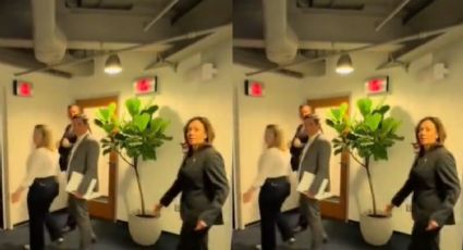 VÍDEO: Tiktoker enquadra Kamala Harris e resultado choca internautas