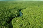 Foto ilustrativa de la nota titulada: COP30 impulsiona crescimento sustentável no Pará e fortalece agenda climática brasileira