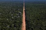 Justiça suspende licença para obra na BR-319 após questionamentos sobre impacto ambiental