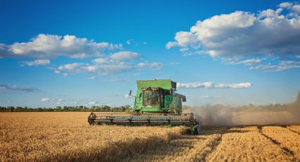 Semente transgênica da Bayer que mistura agrotóxicos corre risco de ser aprovada no Brasil