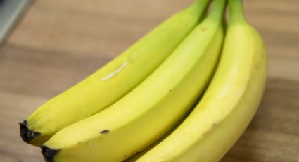 "Apocalipse das bananas" está próximo do fim, anunciam cientistas