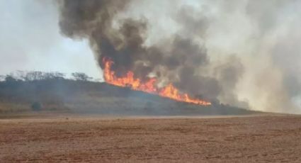 Mais um homem é preso por incêndio criminoso em SP