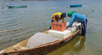 Pescadores artesanais de Minas Gerais: patrimônio vivo e cultural