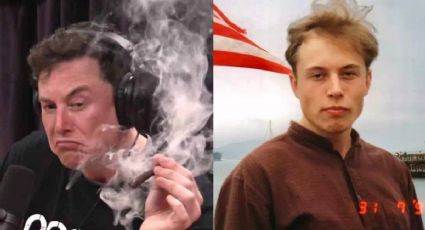 Musk usa Glenn Greenwald e segue com birra para provocar Moraes: "ditador Voldemort"