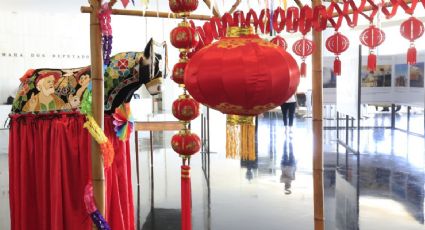 Exposição 'Laços: Belo Brasil, Bela China' celebra 50 anos de relações diplomáticas sino-brasileiras