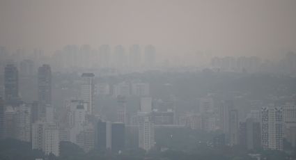 76 pessoas morrem de síndrome respiratória em São Paulo em meio à fumaça das queimadas